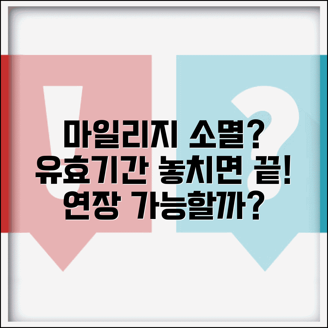 항공 마일리지 유효기간 지나면 정말 없어지나요 | 마일리지 소멸 | 유효기간 | 연장