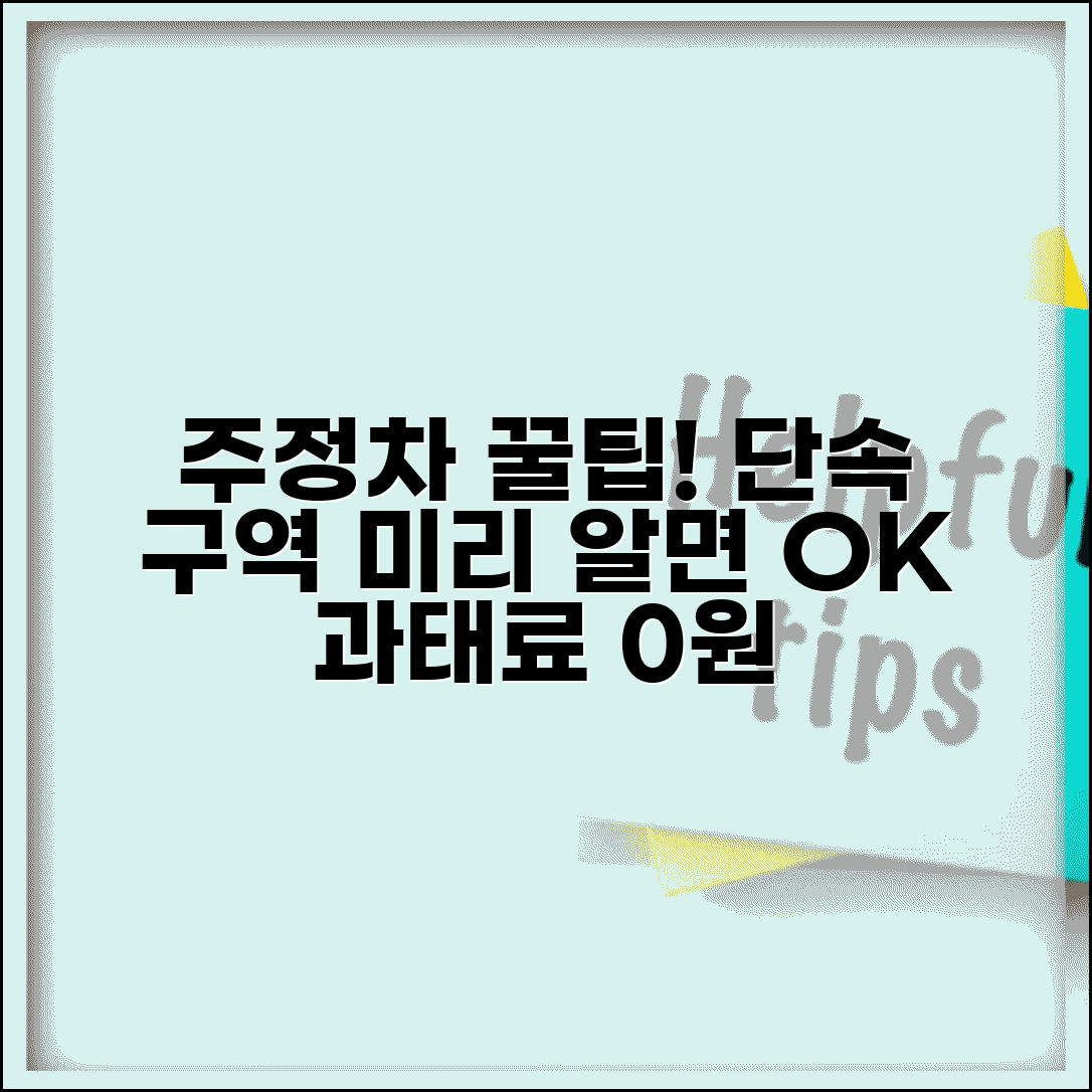 주정차단속 피하는 꿀팁 | 자주 단속되는 구역 정보