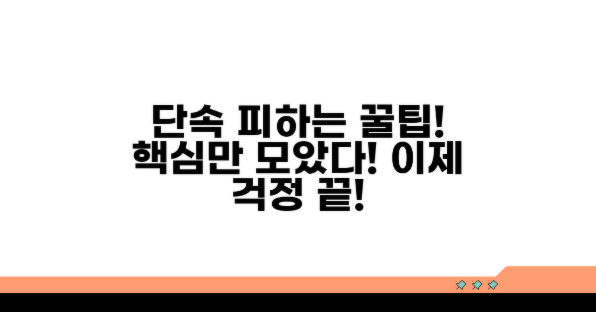 단속 피하는 핵심 꿀팁