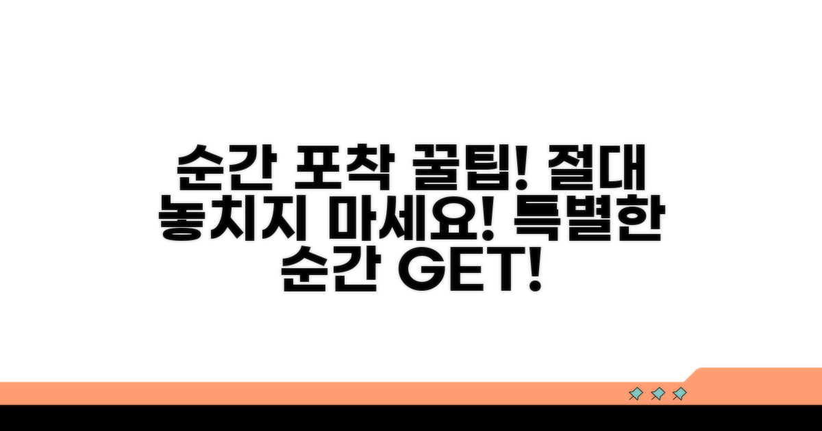 특별한 순간, 놓치지 않는 팁
