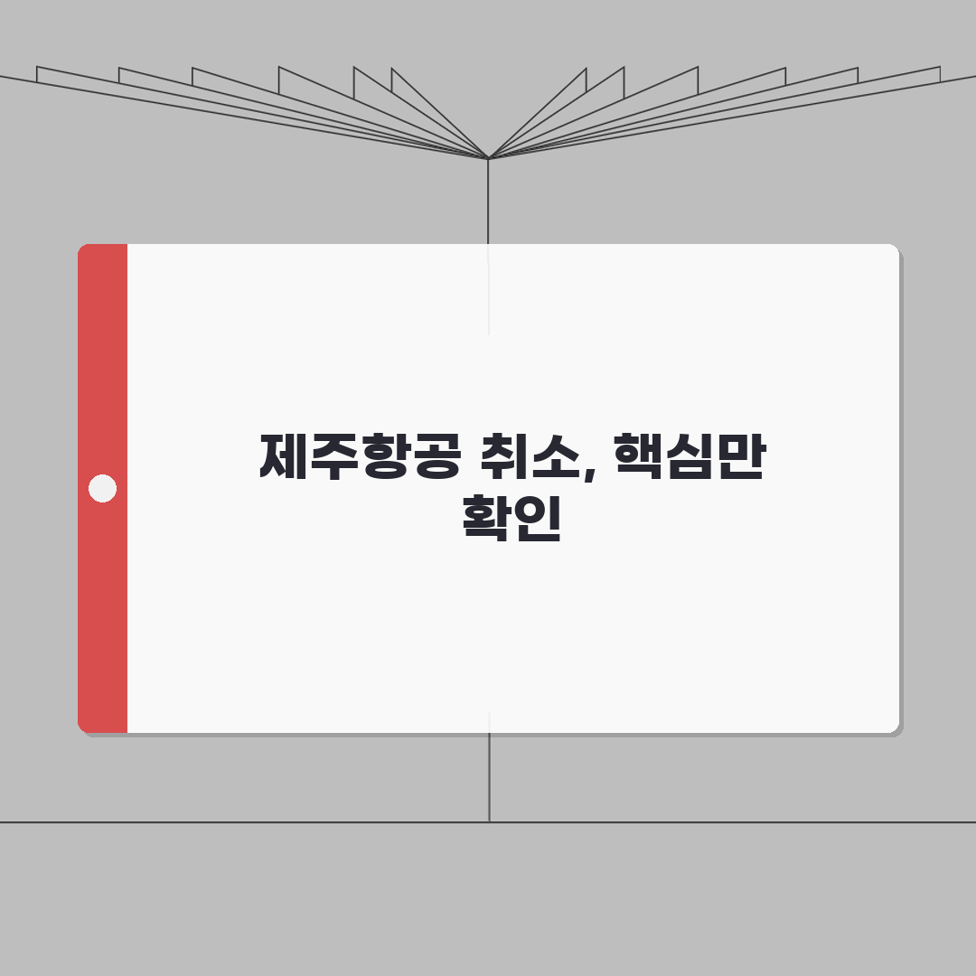 제주항공 예약 취소 단계별 가이드 | 환불 확인방법 A to Z: 7단계 완벽 분석