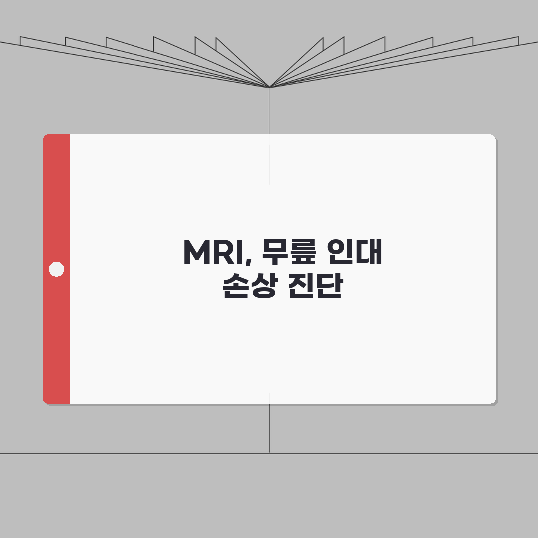 무릎MRI 측부인대손상 MCL LCL 등급 | 1~3도 완벽가이드: 7가지 핵심 정보