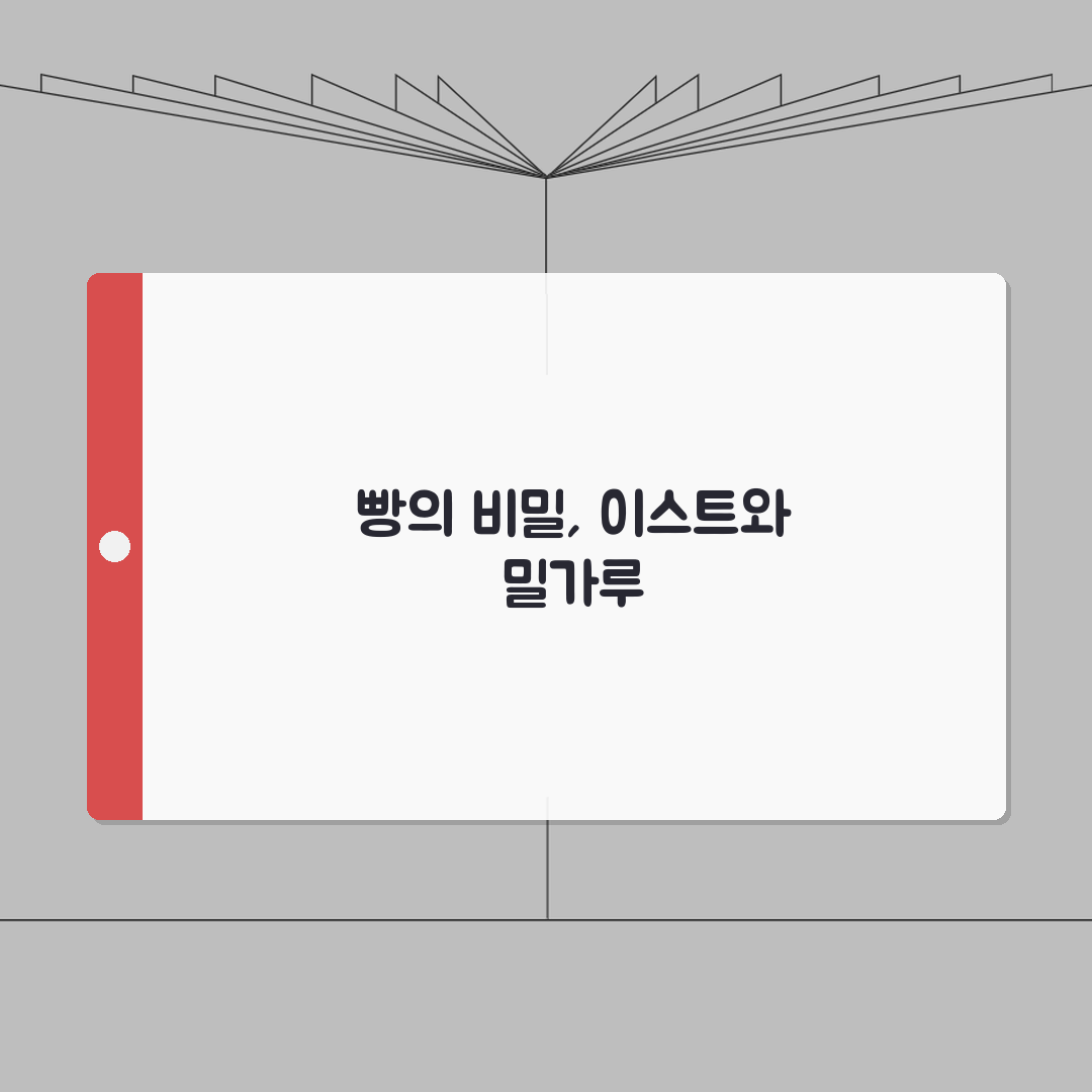 제빵 이스트 양 비율 밀가루 | 이스트 넣는 양 계산법 꿀팁 공유해요!