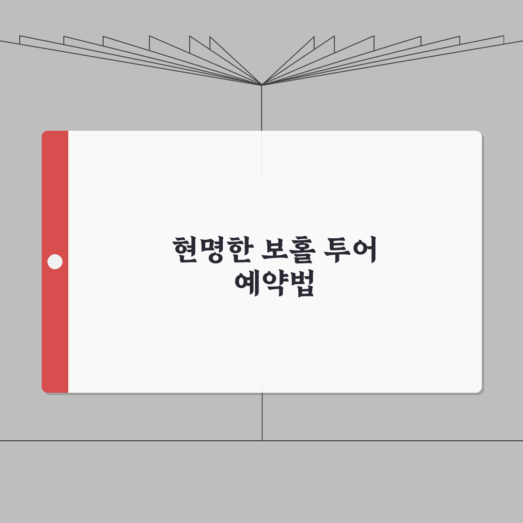 보홀 현지투어 바가지 피하고 예약하는 협상법 A to Z: 5가지 핵심 전략