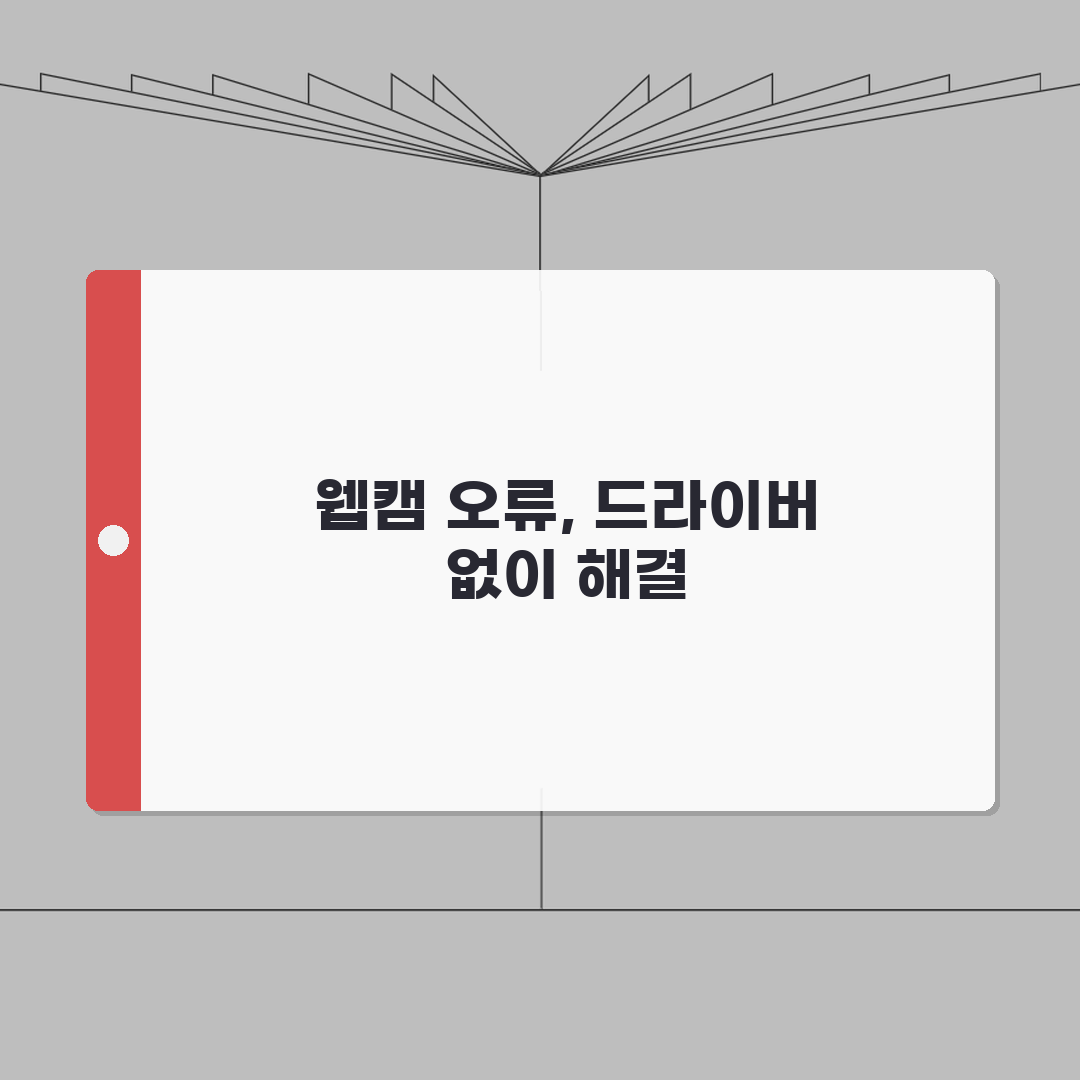 웹캠 디바이스 드라이버 인식안됨 오류 드라이버 재설치없이 해결법 알려드려요!