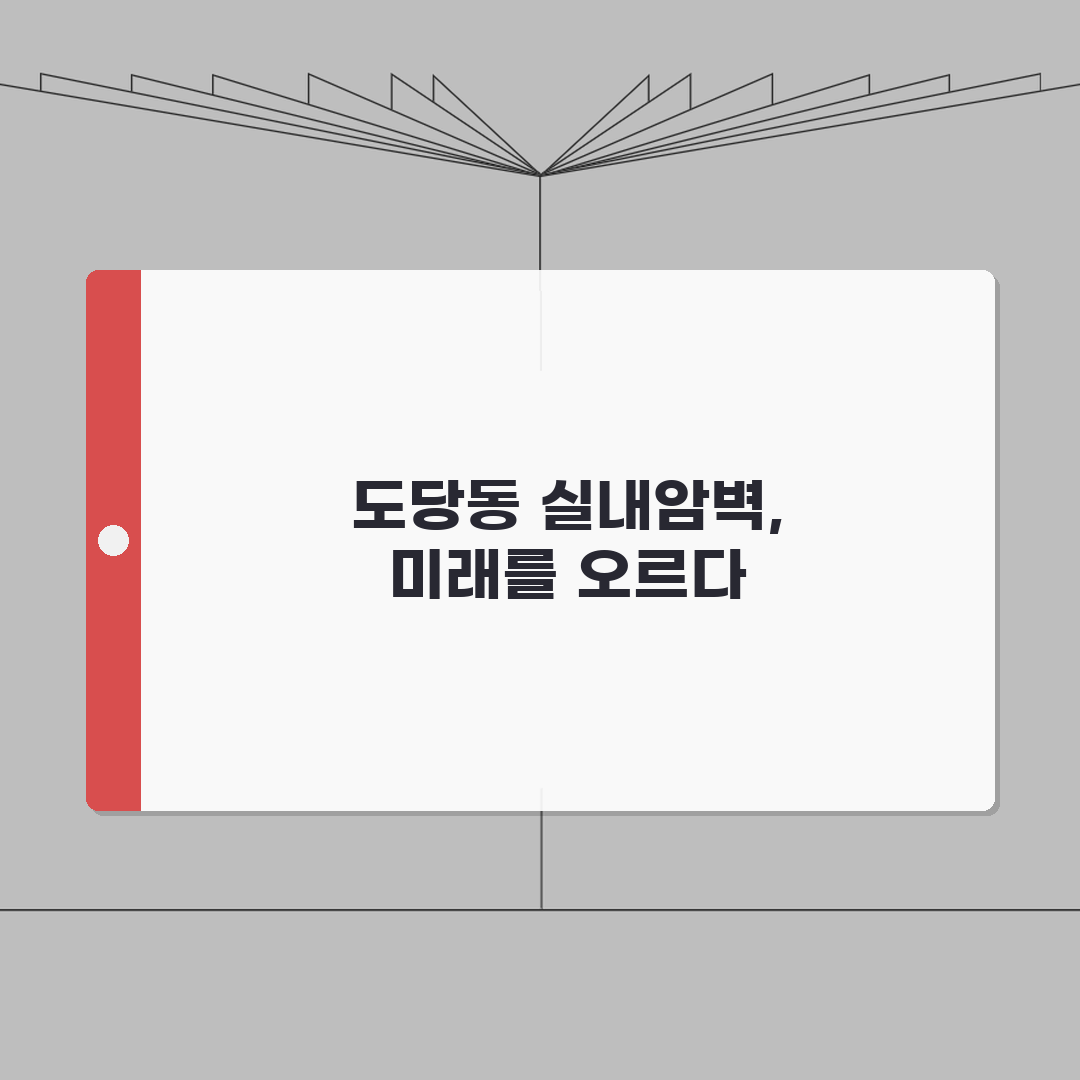 경기 부천시 도당동 실내암벽장 | 클라이밍 | 볼더링, 리드클라이밍 완벽가이드: 7가지 핵