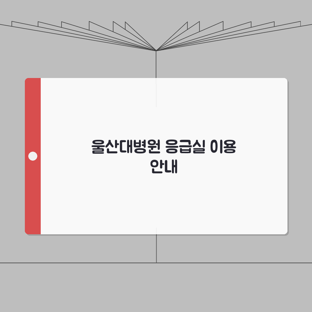 울산대병원 응급실 이용안내 | 진료절차, 준비물, 대기현황 A to Z: 7단계 완벽 가이