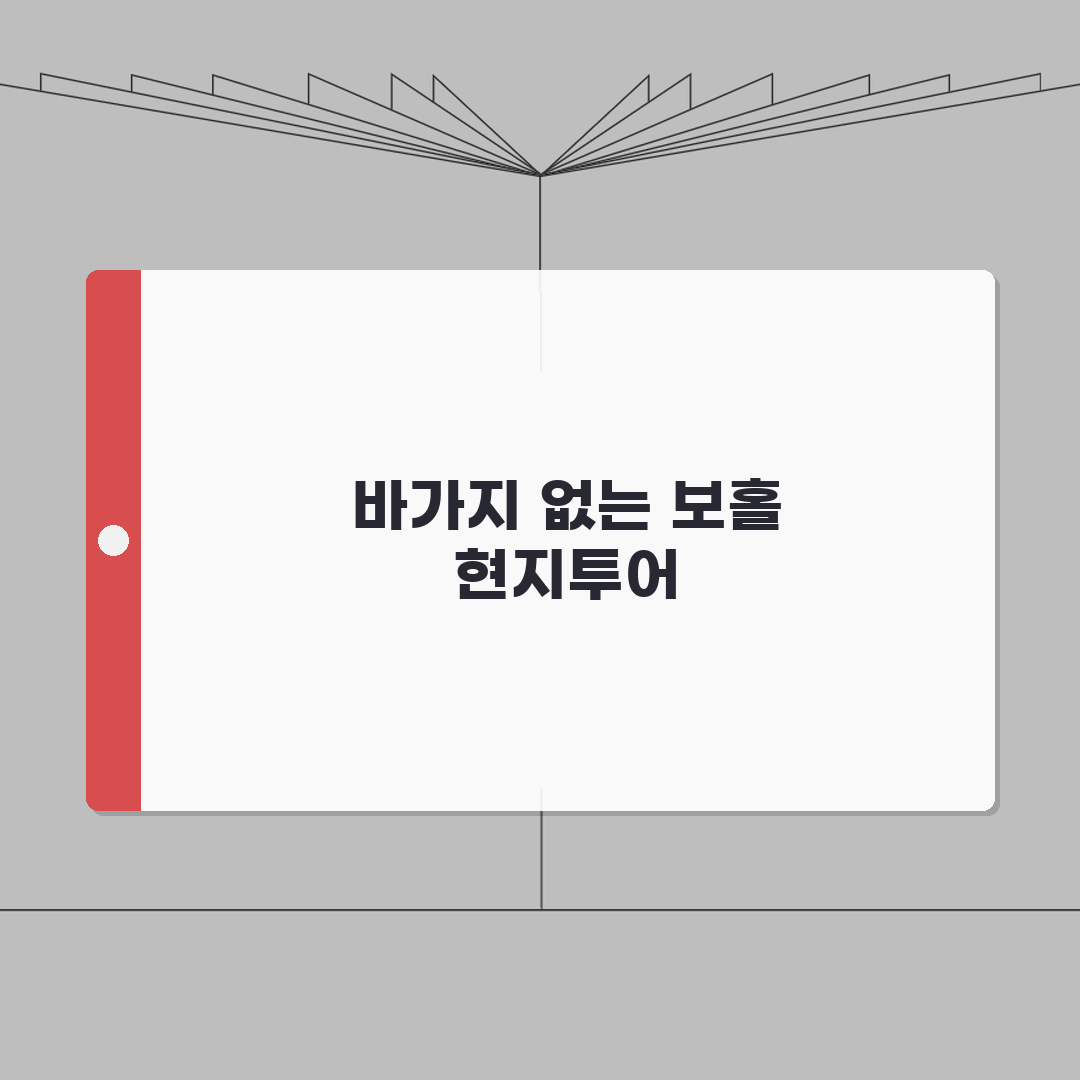 보홀 현지투어 바가지 피하고 예약하는 협상법 A to Z: 5가지 핵심 전략