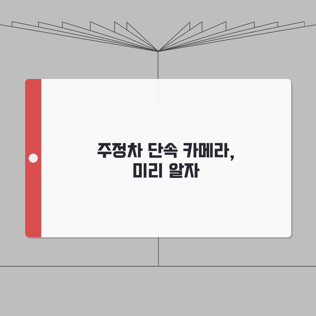 주정차단속 카메라 식별방법 | 고정형/이동형/드론 + 사각지대 정보 A to Z: 7가지