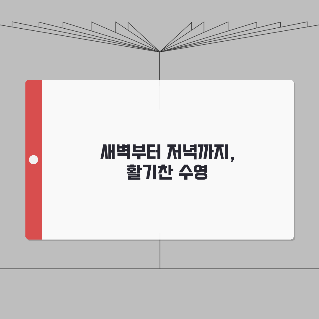용현체육문화센터 수영장 프로그램 | 새벽반/저녁반 구성, 같이 알아볼까요?