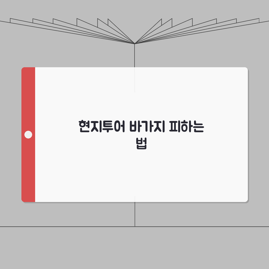 보홀 현지투어 바가지 피하고 예약하는 협상법 A to Z: 5가지 핵심 전략
