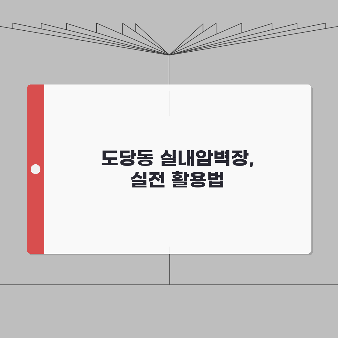 경기 부천시 도당동 실내암벽장 | 클라이밍 | 볼더링, 리드클라이밍 완벽가이드: 7가지 핵