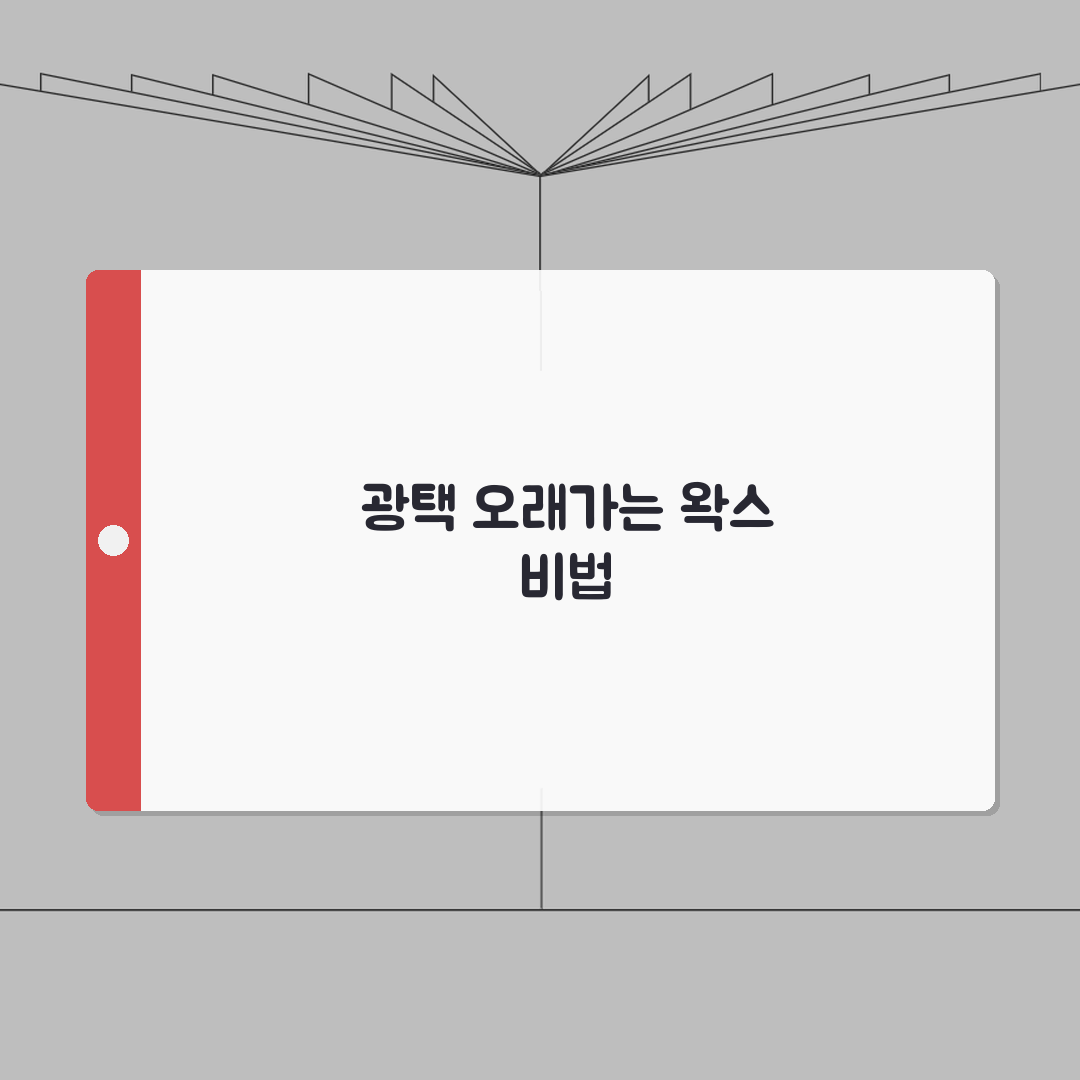 자동차 왁스 코팅 방법 효과 지속 기간 | 차 왁싱 하는 법 제품 추천 꿀팁 공유해요